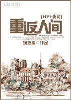 [hp+夜访]重返人间