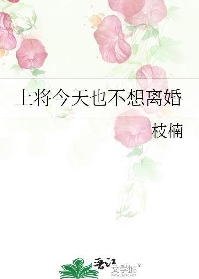 上将今天也不想离婚