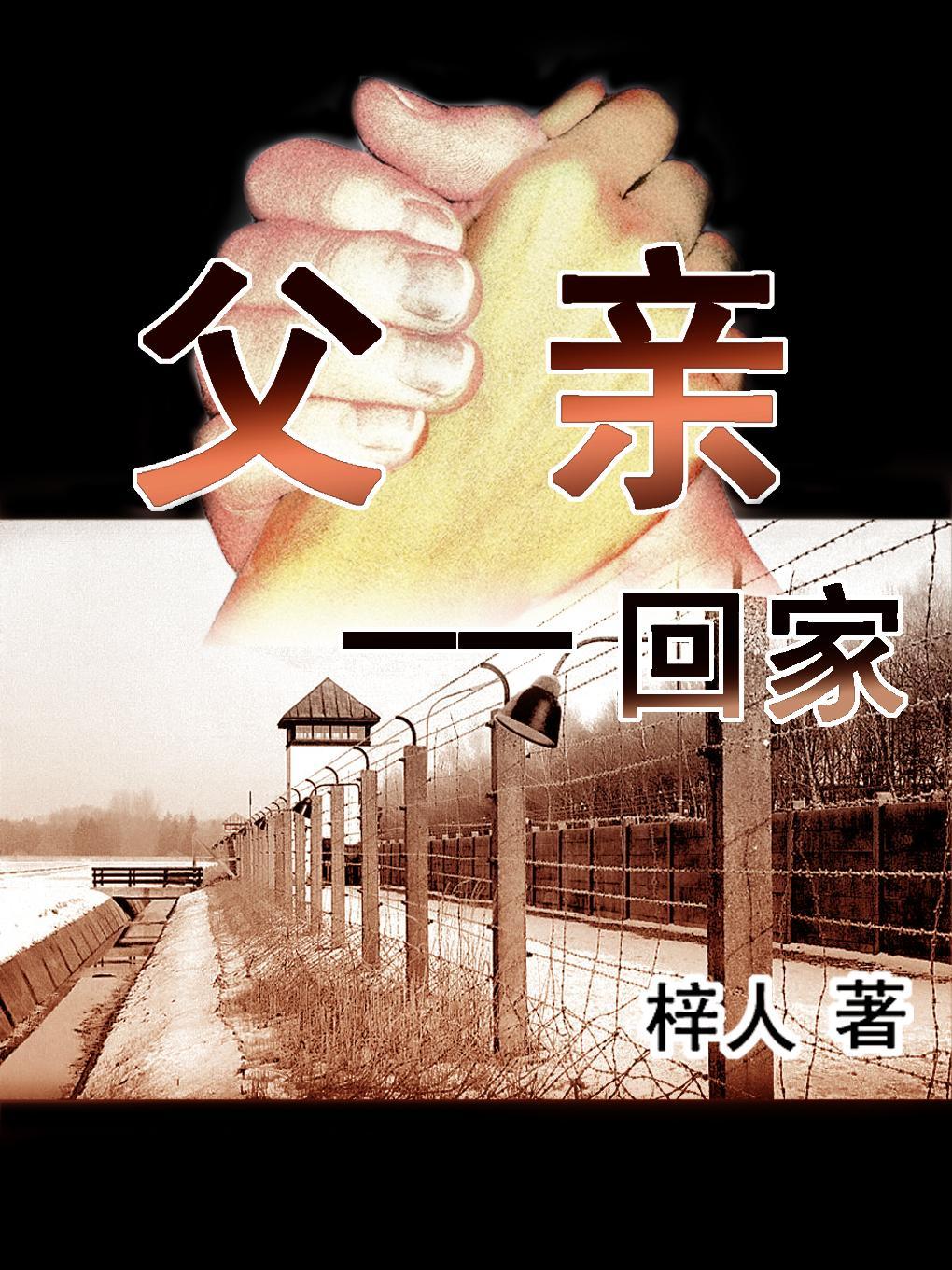 父亲——回家