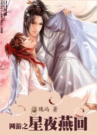 网游之星夜燕回
