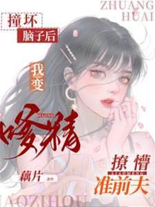 撞坏脑子后,我变嗲精撩懵准前夫