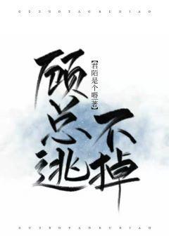 顾总逃不掉
