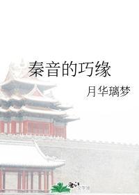 秦音的巧缘