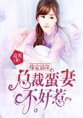缘定情深:总裁蛮妻不好惹