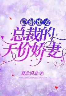 隐婚蜜爱：总裁的天价娇妻