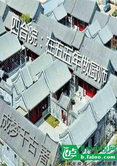 四合院:在五五年做厨师