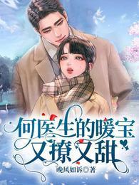 何医生的暖宝又撩又甜