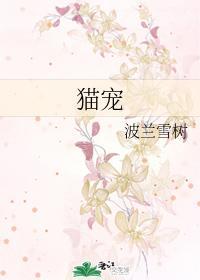 猫宠