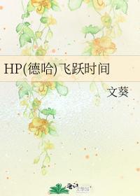 HP(德哈)飞跃时间