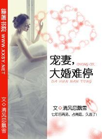 宠妻,大婚难停
