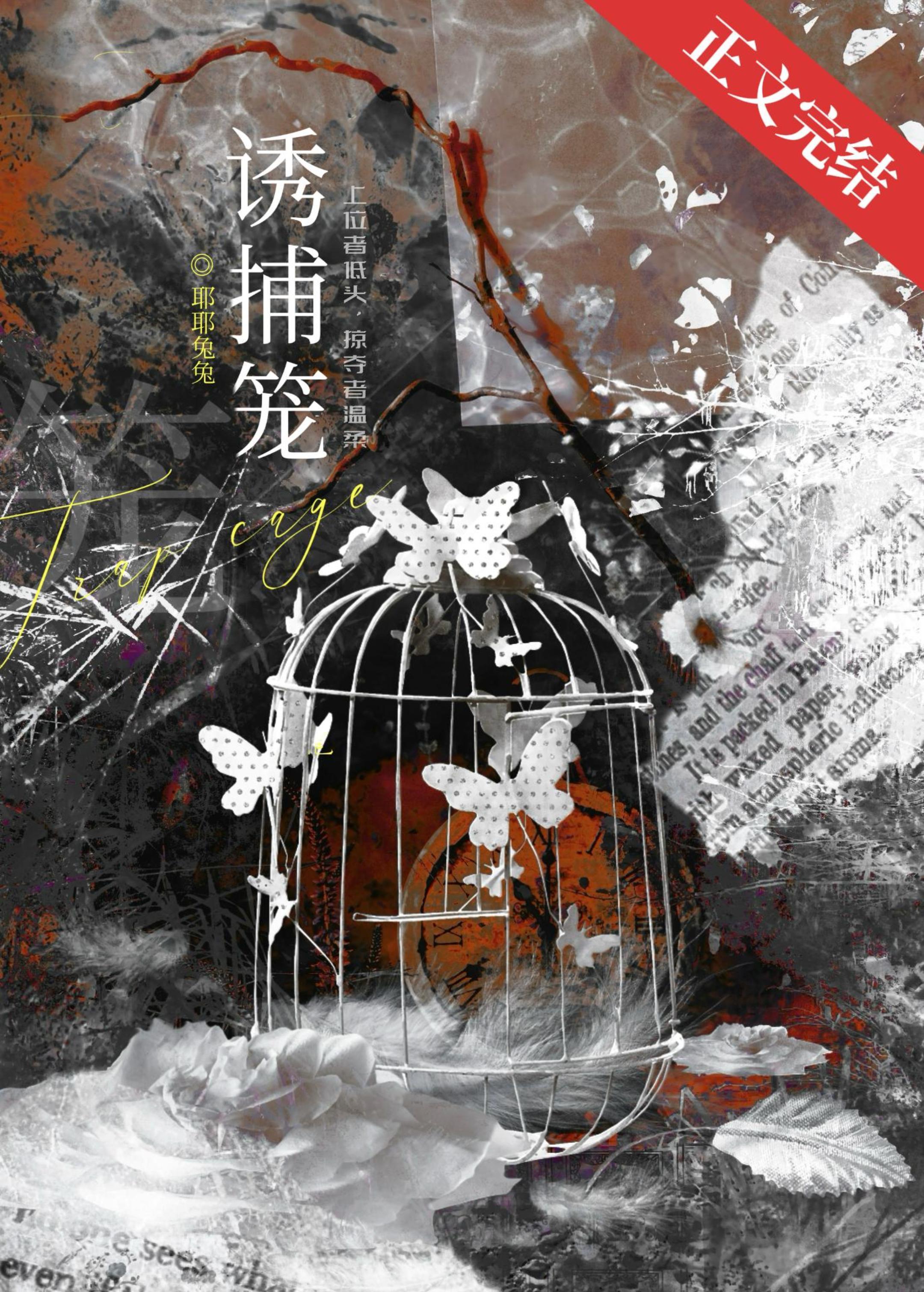 诱捕笼[娱乐圈]