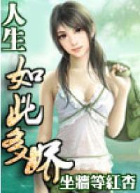 人生如此多娇