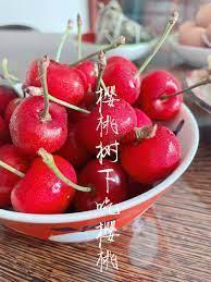 樱桃树下吃樱桃