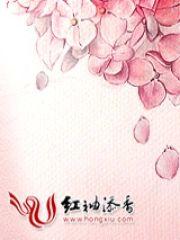 极致情危,高冷总裁不好追