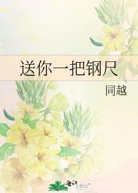 送你一把钢尺