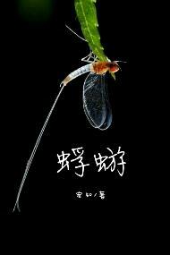 蜉蝣写的小说日月在怀