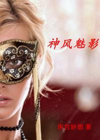 神风魅影