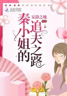 秦小姐的追夫之路
