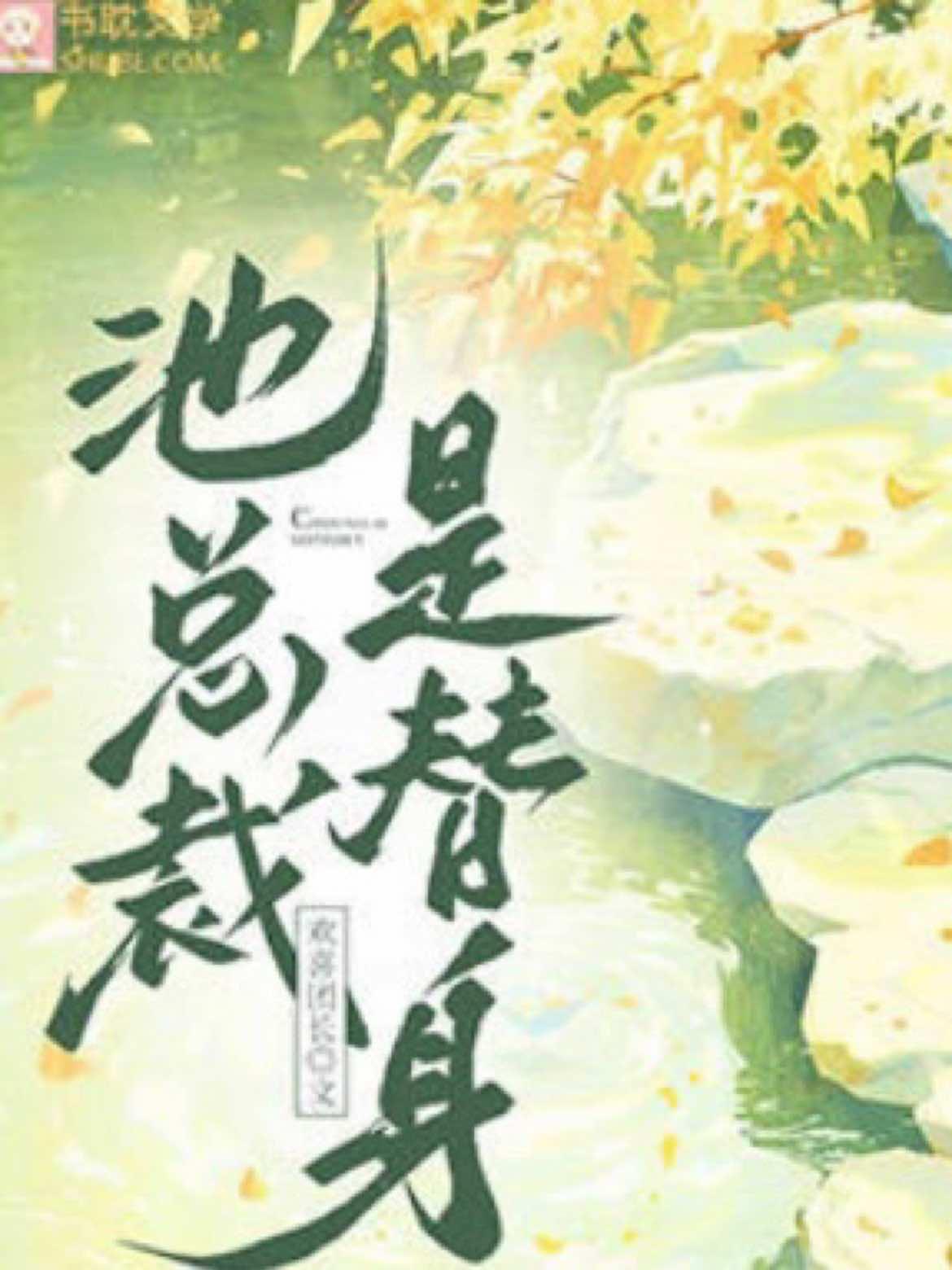 池总裁是替身