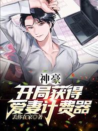 神豪:开局获得爱妻计费器