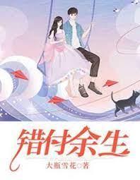 苏晚晚陆言深