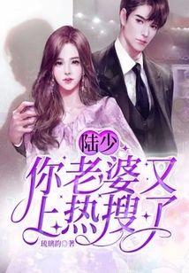 陆少,你老婆又上热搜了