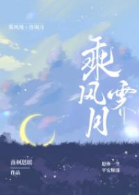 乘风霁月
