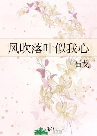 风吹落叶似我心
