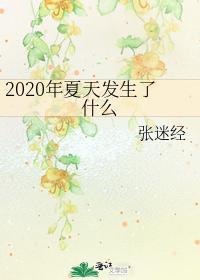 2020年夏天发生了什么