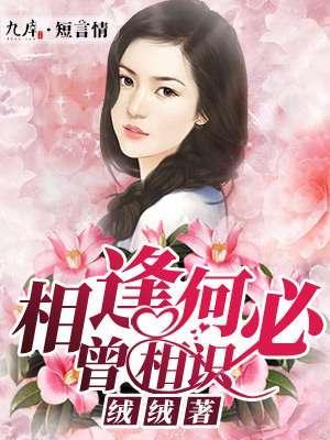 相逢何必曾相识