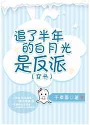 追了半年的白月光是反派（穿书）