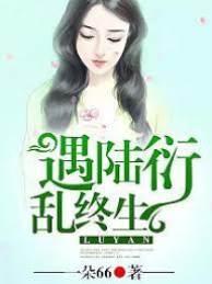 遇陆衍,乱终生