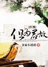 [红楼]但为君故