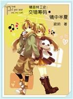 镜音特工史:交错筹码·镜中半夏