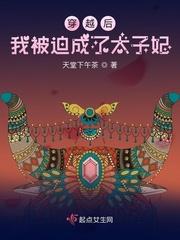 穿越后我被迫成了太子妃