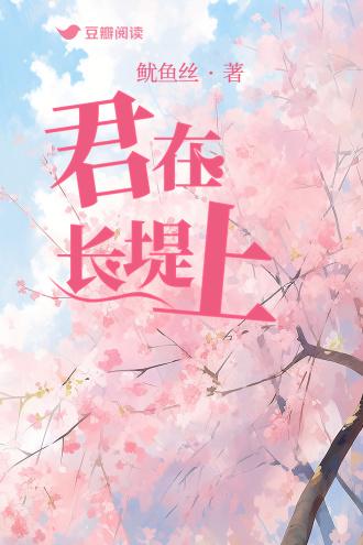 君在长堤上
