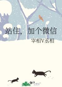 站住,加个微信