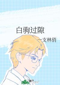 白驹过隙