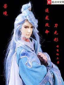 苦境:逆龙改命刀无形