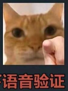 AI文抄?全抄错了!