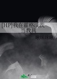[HP]我在霍格沃茨当教具