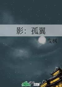 影：孤翼