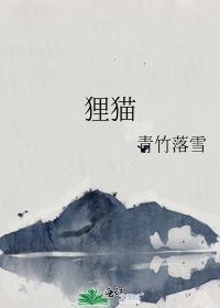 貍猫