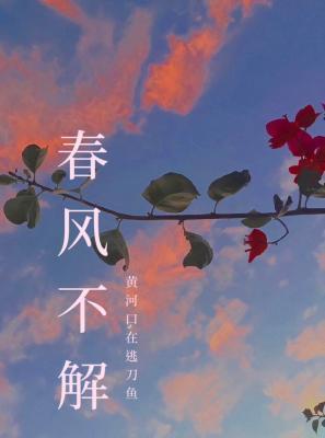 春风不解