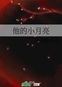 他的小月亮