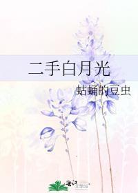 二手白月光