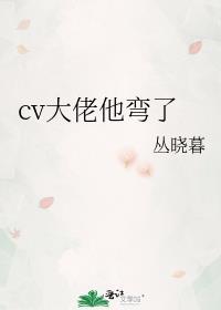 cv大佬他弯了