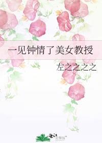 一见钟情了美女教授