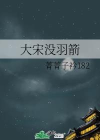 大宋没羽箭