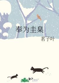 奉为圭臬